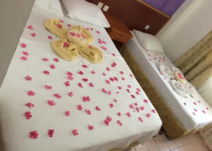 Latino Kemer